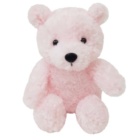 teddy delivery