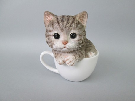 Lucky Bag Interior Baby Cat Tea Cup American Shorthair Export