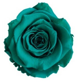 Ar ティエラ トレス 3輪1102 73 ブリティッシュグリーン 薔薇 バラ プリザーブドフラワー の商品ページ 卸 仕入れサイト スーパーデリバリー Ar ティエラ トレス 3輪1102 73 ブリティッシュグリーン 薔薇 バラ プリザーブドフラワー の商品ページ 卸 仕入れサイト スーパーデリバリー