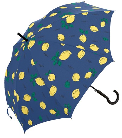 umbrella hat next day delivery