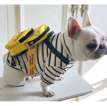 backpack for cat to wear