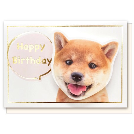 イヌバースデーカード Gk 0 柴犬 誕生日 の商品ページ 卸 仕入れサイト スーパーデリバリー イヌバースデーカード Gk 0 柴犬 誕生日 の商品ページ 卸 仕入れサイト スーパーデリバリー
