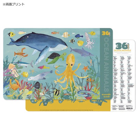 fish play mat