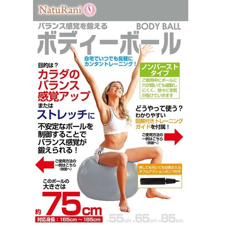 フィットネスボール エクササイズボール バランスボール ヨガボール 75cm シルバー の商品ページ 卸 仕入れサイト スーパーデリバリー
