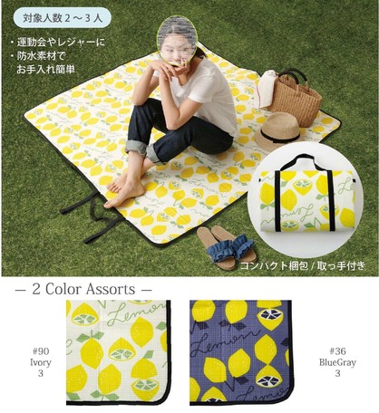 picnic blanket size