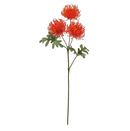 菊 マムピンクッション オレンジの商品ページ 卸 仕入れサイト スーパーデリバリー