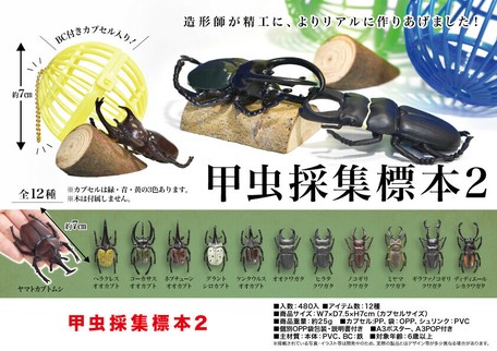 Beetle 2 Type Pcs Import Japanese Products At Wholesale Prices Super Delivery
