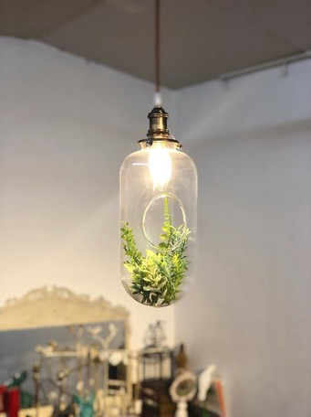 1灯 ペンダントライト Gr 004 1 照明 グリーン 緑 植物 インテリア 家具 美容室 店舗 備品の商品ページ 卸 仕入れサイト スーパーデリバリー