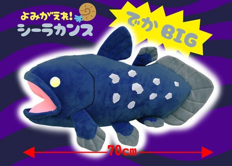 coelacanth plush