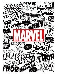 マーベル B5 下敷き ロゴ Marvelの商品ページ 卸 仕入れサイト スーパーデリバリー