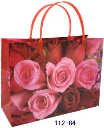 gift and bag
