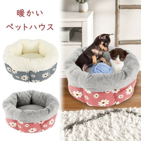 next pet bed