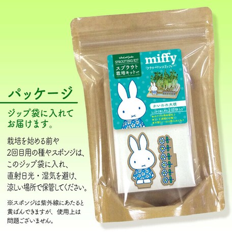 スプラウト栽培キット ミッフィー かいわれ大根 の商品ページ 卸 仕入れサイト スーパーデリバリー