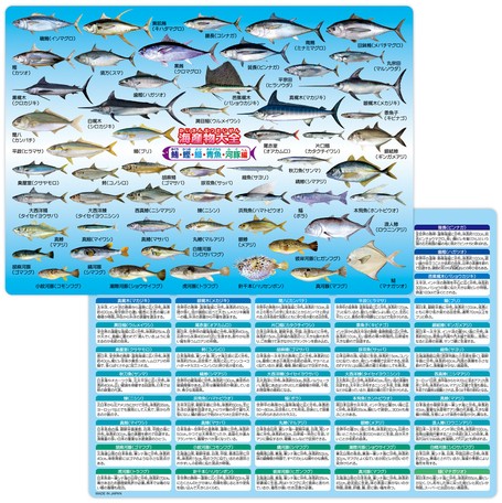 海産物大全 鮪 鰹 鰤 青魚 河豚編 下敷きの商品ページ 卸 仕入れサイト スーパーデリバリー 海産物大全 鮪 鰹 鰤 青魚 河豚編 下敷きの商品ページ 卸 仕入れサイト スーパーデリバリー