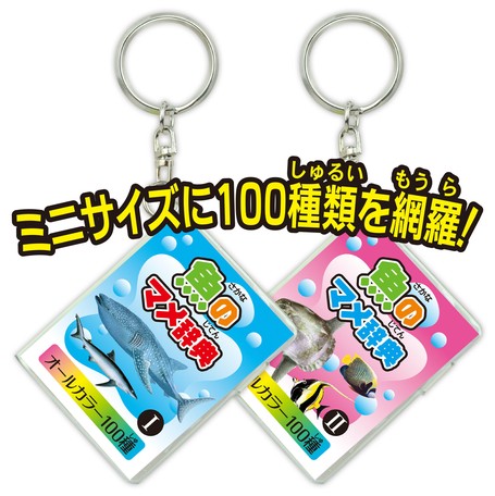 魚のマメ辞典i Iiの商品ページ 卸 仕入れサイト スーパーデリバリー