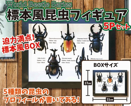 標本風昆虫フィギュア 5pセットの商品ページ 卸 仕入れサイト スーパーデリバリー 標本風昆虫フィギュア 5pセットの商品ページ 卸 仕入れサイト スーパーデリバリー