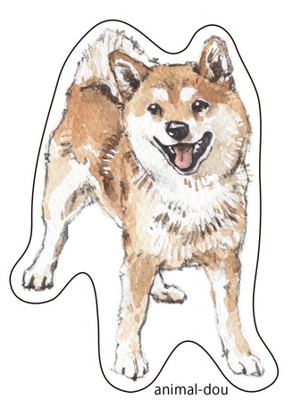 Water Resistant Sticker Shiba Dog 4 Types Set Import Japanese Products At Wholesale Prices Super Delivery Water Resistant Sticker Shiba Dog 4 Types Set Import Japanese Products At Wholesale Prices Super Delivery