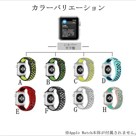 ip cam apple watch