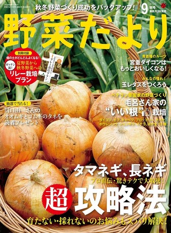 Craft Book Guide To Growing Vegetables Import Japanese Products At Wholesale Prices Super Delivery