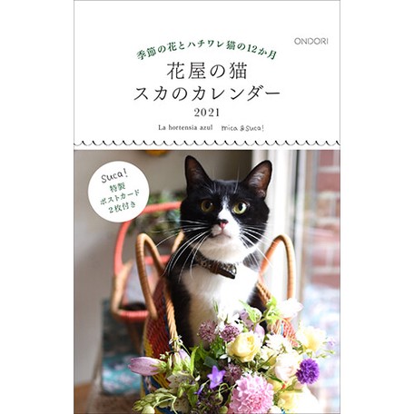 中央経済社 カレンダー 花屋の猫 21年 スカのカレンダー卓上 Ck C21 05の商品ページ 卸 仕入れサイト スーパーデリバリー