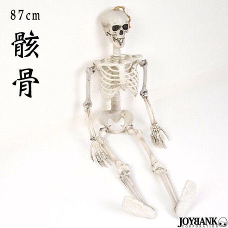 骸骨 フィギュア 87cm おもちゃ ガイコツ どくろ インテリア ホラー ハロウィン 雑貨 の商品ページ 卸 仕入れサイト スーパーデリバリー 骸骨 フィギュア 87cm おもちゃ ガイコツ どくろ インテリア ホラー ハロウィン 雑貨 の商品ページ 卸 仕入れサイト スーパーデリバリー