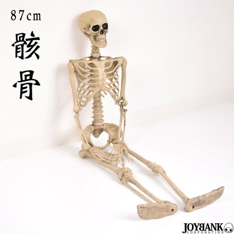 骸骨 フィギュア 87cm おもちゃ ガイコツ どくろ インテリア ホラー ハロウィン 雑貨 撮影小道具 の商品ページ 卸 仕入れサイト スーパーデリバリー 骸骨 フィギュア 87cm おもちゃ ガイコツ どくろ インテリア ホラー ハロウィン 雑貨 撮影小道具 の商品ページ 卸 仕入れサイト スーパーデリバリー