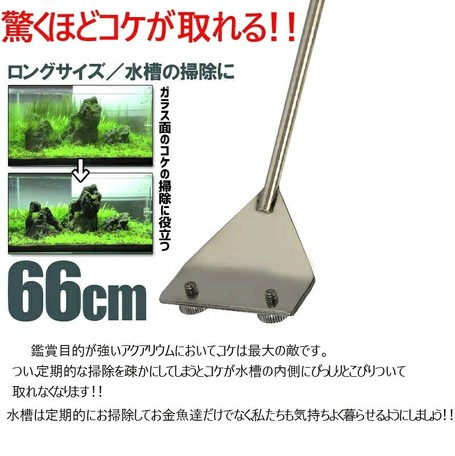 スクレーパー 水槽 プロレイザー苔 コケ 取り 掃除 除草 Zjeb159の商品ページ 卸 仕入れサイト スーパーデリバリー スクレーパー 水槽 プロレイザー苔 コケ 取り 掃除 除草 Zjeb159の商品ページ 卸 仕入れサイト スーパーデリバリー