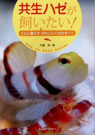 I Want To Keep A Symbiotic Goby Import Japanese Products At Wholesale Prices Super Delivery