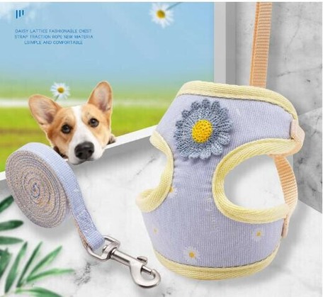 新作 犬服 犬 首輪 ペットリーシュ 犬 犬首輪 ペット ペット用品の商品ページ 卸 仕入れサイト スーパーデリバリー 新作 犬服 犬 首輪 ペットリーシュ 犬 犬首輪 ペット ペット用品の商品ページ 卸 仕入れサイト スーパーデリバリー