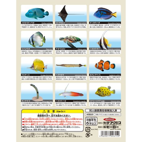 欠品中 3月下旬 4月上旬入荷予定 立体海洋生物図鑑の商品ページ 卸 仕入れサイト スーパーデリバリー