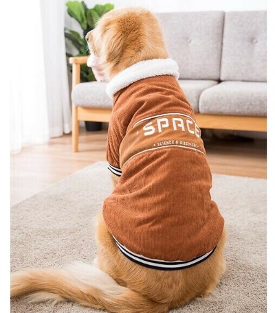新作 冬着 ラブラドール ワンピース 犬の服 犬 ワンちゃん服 ペット ペット用品の商品ページ 卸 仕入れサイト スーパーデリバリー