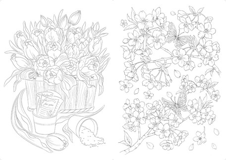 12ヵ月の花々 ぬり絵の商品ページ 卸 仕入れサイト スーパーデリバリー 12ヵ月の花々 ぬり絵の商品ページ 卸 仕入れサイト スーパーデリバリー