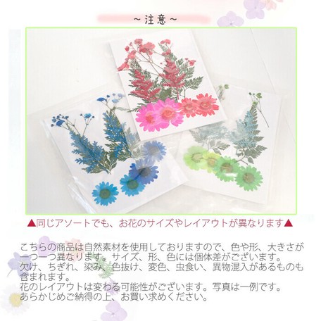 デコパーツ 73 押し花 カラーリーフmix ドライフラワー レジン 21年イチオシの商品ページ 卸 仕入れサイト スーパーデリバリー デコパーツ 73 押し花 カラーリーフmix ドライフラワー レジン 21年イチオシの商品ページ 卸 仕入れサイト スーパーデリバリー
