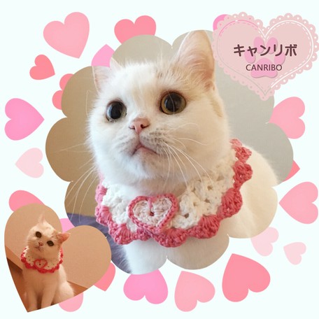 猫 首輪 ] 【年中快適】コットンつけ襟・シュリンプハートの商品ページ 