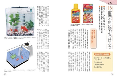 Pleasant Goldfish Long Fine Import Japanese Products At Wholesale Prices Super Delivery