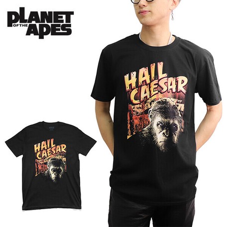 プラネット オブ ジ エイプス Planet Of The Apes Ss Tee Hail Caesar 猿の惑星 Tシャツ 映画 ムービーtの商品ページ 卸 仕入れサイト スーパーデリバリー プラネット オブ ジ エイプス Planet Of The Apes Ss Tee Hail Caesar 猿の惑星 Tシャツ 映画 ムービーtの商品ページ 卸 仕入れサイト スーパーデリバリー