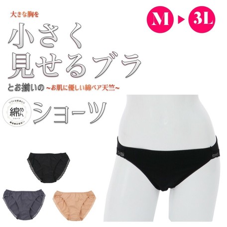定番 綿混 大きな胸を小さく見せるブラのペアショーツ M 3lの商品ページ 卸 仕入れサイト スーパーデリバリー