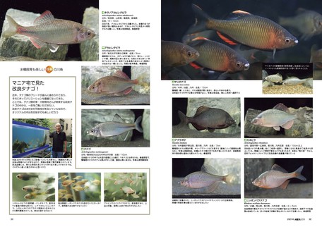Aqua Life 8 Waterside Import Japanese Products At Wholesale Prices Super Delivery