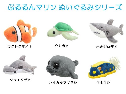 ぷるるんマリン　シーラカンス　ヒモ引っ張りブルブル　綺麗目 ぷるるんマリン シーラカンス ヒモ引っ張りブルブル 綺麗目