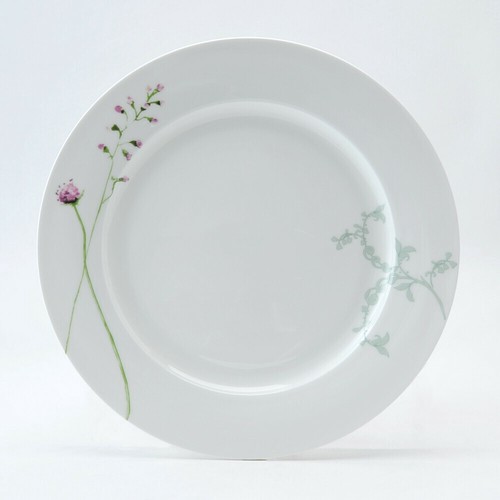 Plate Import Japanese products at wholesale prices SUPER DELIVERY