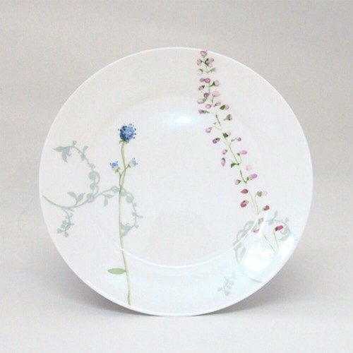 Plate Import Japanese products at wholesale prices SUPER DELIVERY