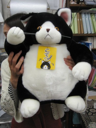 デブ猫 特大こてつの商品ページ 卸 仕入れサイト スーパーデリバリー