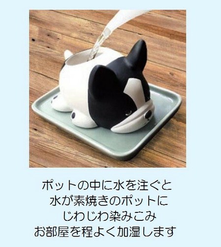 ねむねむアニマルズ 素焼き加湿器 Special Price の商品ページ 卸 仕入れサイト スーパーデリバリー