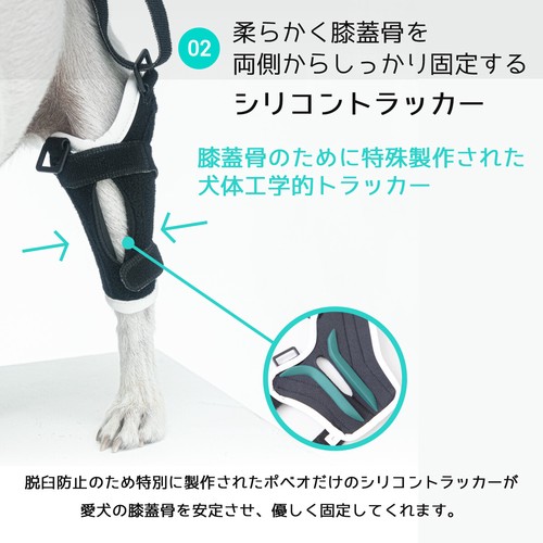 のサポータ poveo レベル2 右足の通販 by ようコレ｜ラクマ 犬用