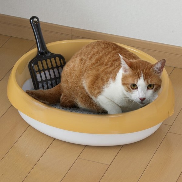 アイリスオーヤマ ペット用品・ペットフード トイレ ネコのトイレ / 生活雑貨 犬猫用品 トレー・トイレ