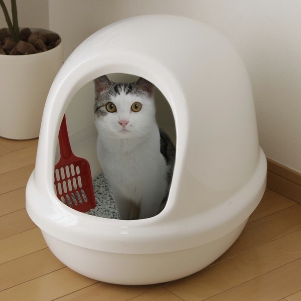 アイリスオーヤマ ペット用品・ペットフード トイレ ネコのトイレフルカバー / 生活雑貨 犬猫用品 トレー・トイレ