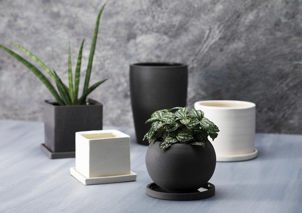 pot 2023年度　まとめ売り セントポットシリーズ①の商品ページ｜卸・仕入れサイト