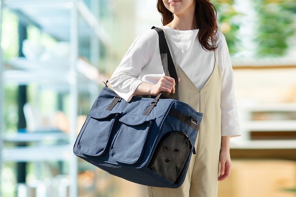 アイリスオーヤマ ペット用品・ペットフード ソフトペットキャリーMサイズ / 生活雑貨 犬猫用品 キャリーバッグ