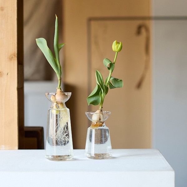 (高さ17cm・12cm)リューズガラス グロースライン バルブボトル ロリエフ/球根・水耕栽培 / 家具・インテリア インテリアグリーン 花瓶・