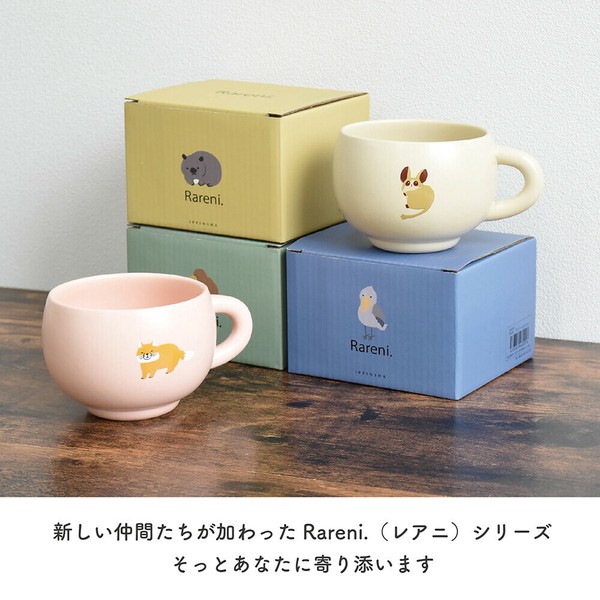 【30％OFF】 Rareni. ｷｰｳｨの商品ページ｜卸・仕入れサイト【スーパー ﾏｸﾞ 小物